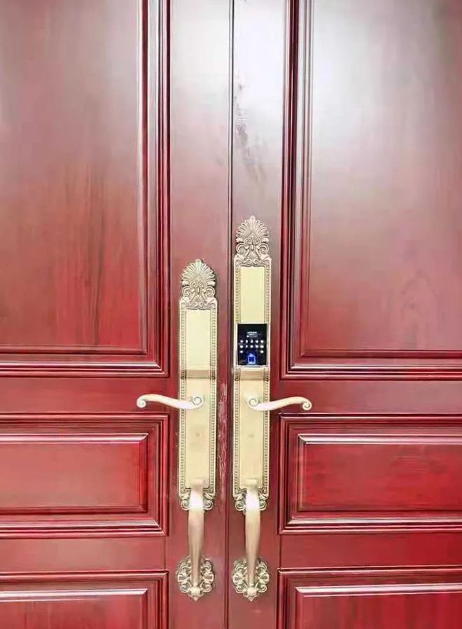 乐鱼体育,案例分享 家居“新宠”智能锁让生活更美好！